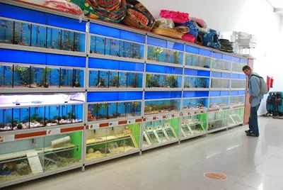 Zielone ZOO Kupiec Gorzowski